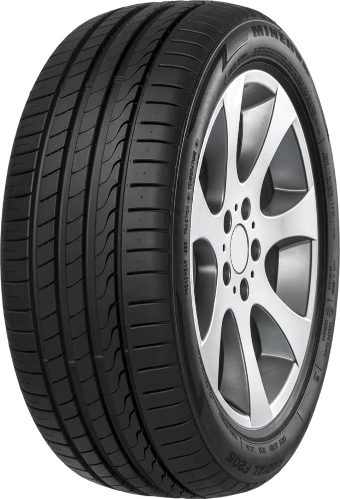 Minerva F205 - 225/45R17 91Y - Neumático de Verano