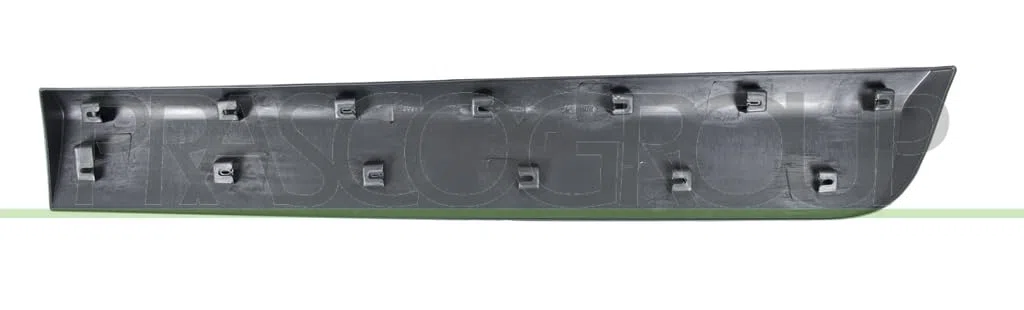 Barra Protectora para Puerta Trasera Derecha Negra