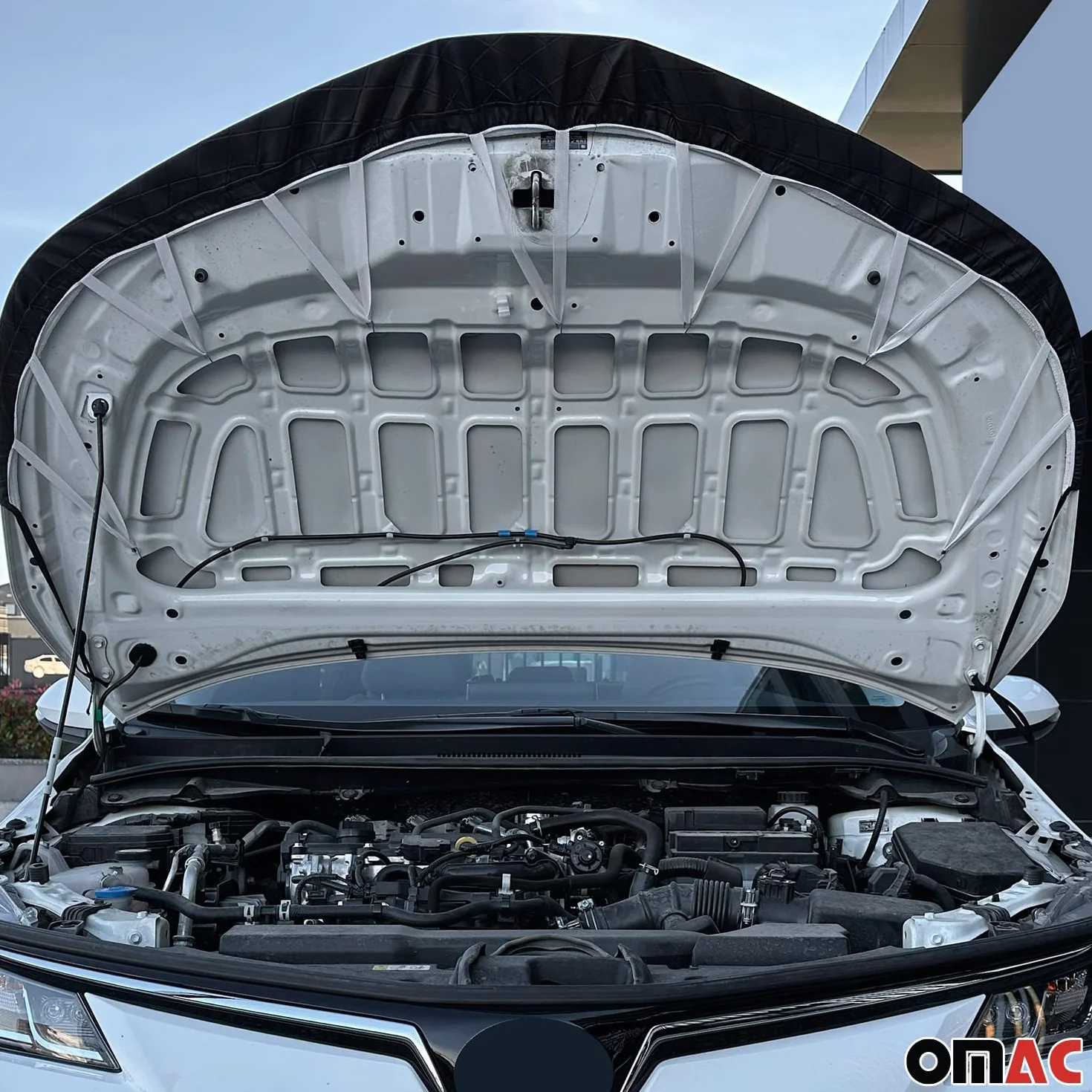 OMAC Haubenbra Steinschlagschutz Bonnet Bra compatible con Kia Niro I 2017-2022 Negro Halb