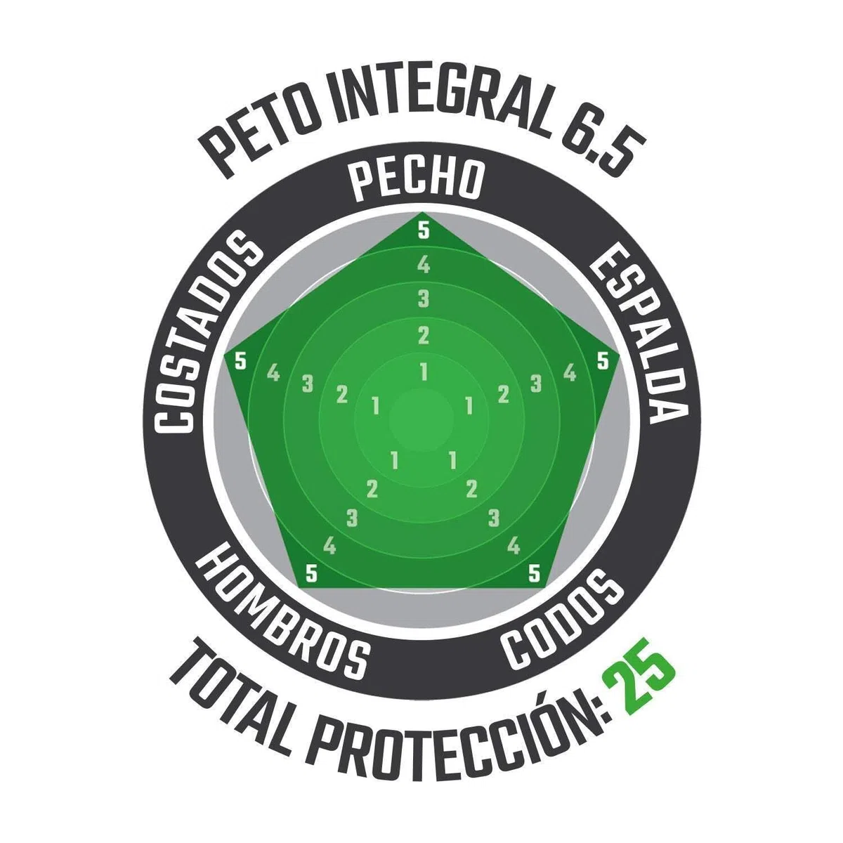 Peto Integral 6.5